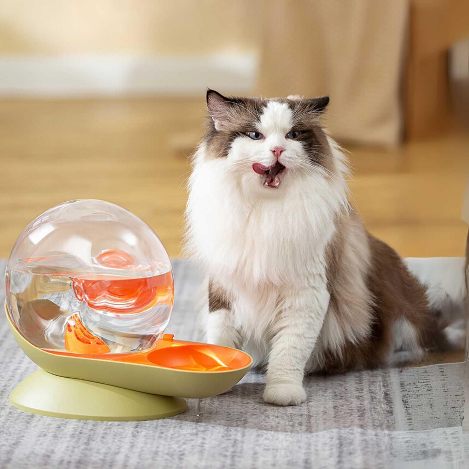 slakken drinkfontein kat kat met smaak na drinken uit fontein